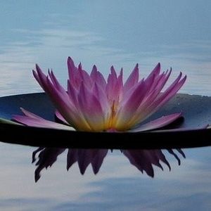 Meet your Posher, Juli